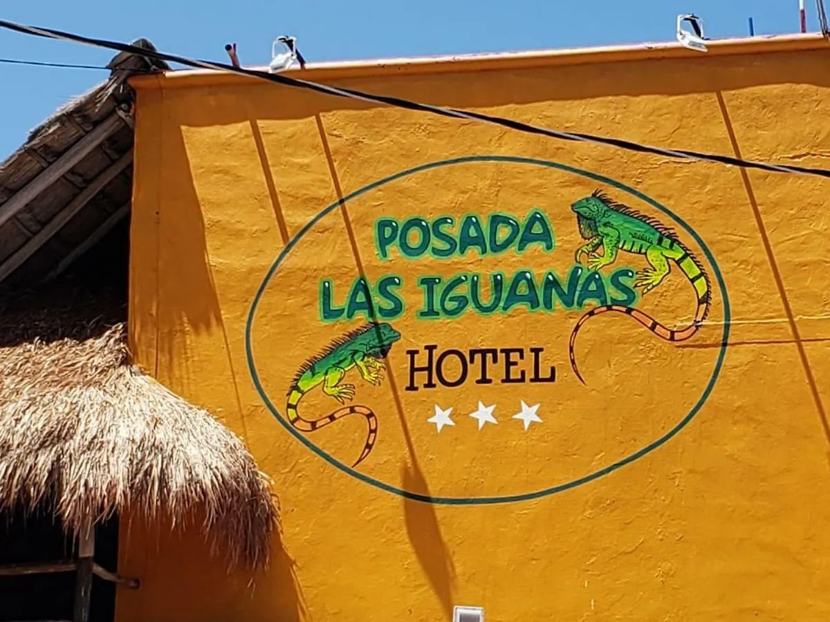 Hotel Posada Las Iguanas Playa del Carmen 3*,  Meksyk